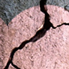 Navigating Grief and Loss
