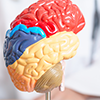 Neurodiversity: Our Differences are Our Greatest Strengths